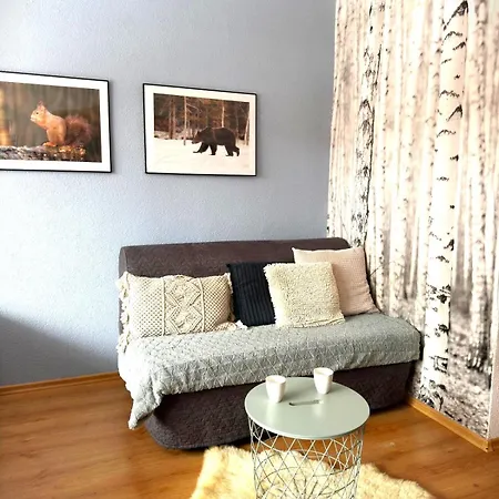 Studio Nido przy Krupówkach APARTZAKOP-3